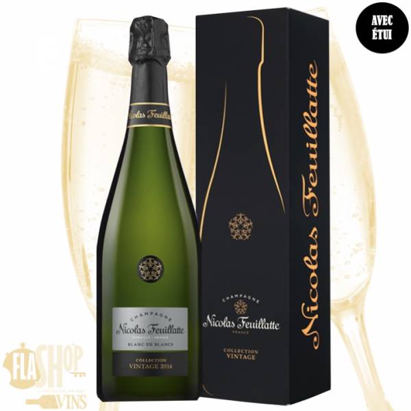 vente de champagne blanc de blancs millésimé collection vintage de Nicolas Feuillatte au meilleur prix à Lyon et ses alentours