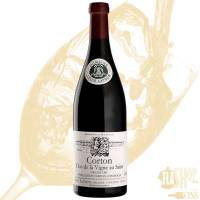 Nos prestations sur le secteur de Lyon 8 Monchat