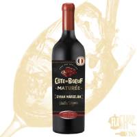 Nos prestations sur le secteur de Bron 69500