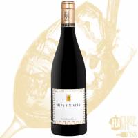 Nos prestations sur le secteur de Bron 69500